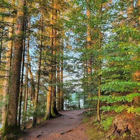 Cocon A 5min Du Gerardmer