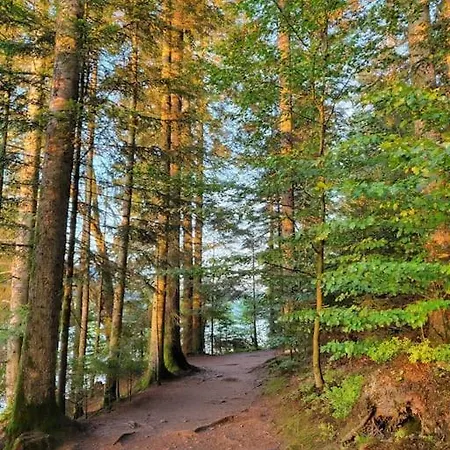 Cocon A 5min Du Gérardmer