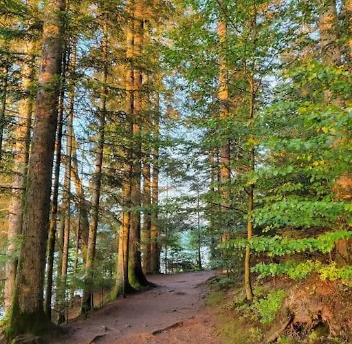 Cocon A 5min Du Gerardmer